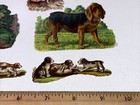 Lot Of 7 Victorian Antique Die-cut Scrap Dogs For Scrapbook Ca  1880