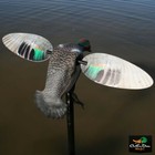 Mojo Elite Series Green Wing Teal Spinning Wing Duck Decoy Remote Ready 3p