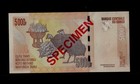 Congo   5000 Francs   2013    Specimen   Unc