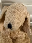 Vintage Dakin  applause  Plush Dog Designed By Character 1960s Puppy  read  