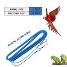 Parrot Bird Harness Leash Anti-bite Outdoor Blue Flying Training Rope With 5p   