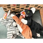Ty Beanie Babies Cats   Big Cats Lot Of 8   Ty Plush Cat Pvc Roary Freckles Zip