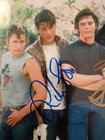 The Outsiders 8x10 Cast Photo Signed By 4  Cruise  Dillon  Lowe  Howell   coa
