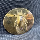 Antique Stamped Brass Beetle Insect Brooch Pin Free On Estate Very Unique Cool