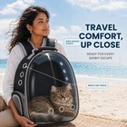 Pet Backpack Strap  Transparent Capsule Cat Backpack 