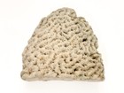 Genuine Natural Coral Display W  Flat Bottom Base Table Fireplace Decor - 8    Lg