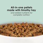 Kaytee Timothy Complete Guinea Pig Food With Timothy Hay  9 5 Pounds