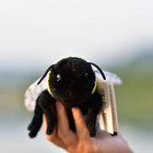 Soft Bee Plush Toy Stuffed Animal Dollcute Honeybee Plush Doll17cm