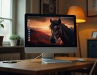 Digital Image Picture Photo Horse Pic Wallpaper Background