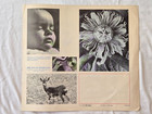 Original Leitz - Leica Visoflex Ii Brochure   Booklet
