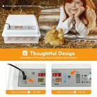 Egg Incubator 64 Eggs Digital Automatic Hatcher For Hatching Chicken Farm