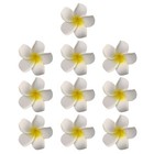 10pcs Hawaiian Plumeria Flower Hair Clips Hibiscus Flower Hair Clips Hibiscus Us