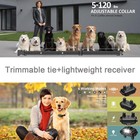 3300ft Dog Shock Collar Remote Rechargeable Dog Training Collar Us Trainer