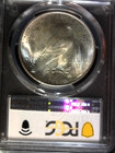 1922 Peace Dollar Pcgs Ms63 Nice Coin