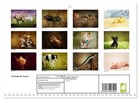 Animals For Home  monthly Wall Calendar 2026 11 7 X 16 5  open    Calvendo 14 Mo