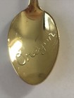 Oregon Flower Flowers Vintage Souvenir Spoon Collectible