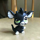 Littlest Pet Shop Custom Ooak Lps Black Dragon Dog Hand Painted Figure