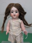 8    Antique German All Bisque Doll 357 20 Jointed Arms   Legs Bl Glass Eyes  sf