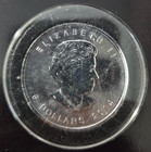 2014 Canada 1 Oz Silver Maple Leaf Bu