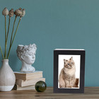 Pet Urns Pet Cremation Urn dog Urns For Ashes  Cat Urn For Ashes  Pet Urns For D