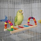 Bite Resistant Parrot Swing Toy Colorful Hanging Beads Wooden Bird Cage Toys