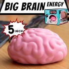 Boxer Gifts Giant Stress Brain Squishy Toy