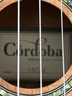 Cordoba 15cm Concert Ukulele Great Condition With Soft Case