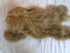 Lion Faux Plush Throw Rug Kids Nature Safari Jungle Room 40    Long X 25    Wide
