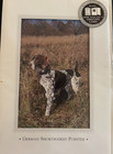 German Shorthaired Pointer Vintage Greeting Cards By Otter House Uk 1999 Pack 6