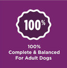 Purina Dog Chow Complete Adult Dry Dog Food Lamb 18 5 Lb High Protein
