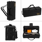     holiday Sale     unmarked Trumpet With Case bag pack  strap  cloth 