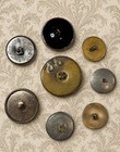 8  Antique Victorian Stamped Picture Flower   Leaves Buttons Tinted Steel Lot