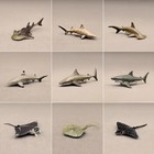 Mini Sea Animal For Diy Figurine Walrus Dolphin Whale Guitarfish Shark Toy