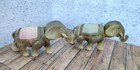 Rare  Vintage Celluloid Circus Elephant Nodders Occupied Japan