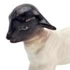 Vintage Hagen-renaker Dw Lamb  son Jon      Authentic Matte Finish  near Mint 