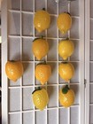 8 Vintage Murano Style Hand Blown Art Glass Fruit Lemons      5 Inches