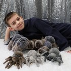 Large Spider Plush Mommy Stuffed Animals 4 Pcs 16inch