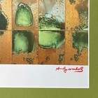 Andy Warhol  1984 Signed Nature Pop Art Framed Collector Item