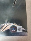 Mudvayne Chad Gray Signed Photograph  Beckett Authenticated  bf23868 Deftones 
