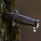 5 Maple Sap Syrup 5 16 Taps   Stainless Steel Spouts  Spiles For Bags   Buckets