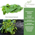 New Zealand Spinach Seeds For Planting  100  Heirloom Seeds Per Packet     