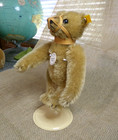 Button Ear Steiff Miniature Muzzle Maulkorb-teddy Bear 6  Tall Ear Tag  029196