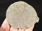 Pyrite Sun Or Pyrite Crystal Disc 100  Natural Illinois 98 5gr