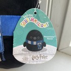 Nwt Squishmallows Original Harry Potter 10-inch Ravenclaw Raven Plush