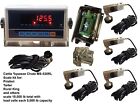 Livestock Scale Kit Cattle Hogs Pigs Squeeze Chute Red Led Display 5yrwty
