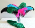 10 X 1st Quality Xxl Individual Ostrich Feathers  pack Of 10 
