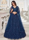 Net Lehenga Choli Motif Embroidery Wedding Guest Party Wear Outfit