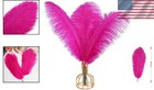 Bulk 12pcs Fuchsia Ostrich Feathers  20-22in  For Elegant Weddings   Party Decor