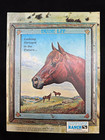 Quarter Horse Journal June 1971
