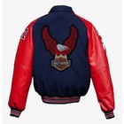 Large 11  Harley-davidson Eagle Embroidered Patch - Iron  sew On